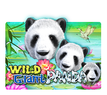 เกมสล็อต Wild Giant Panda